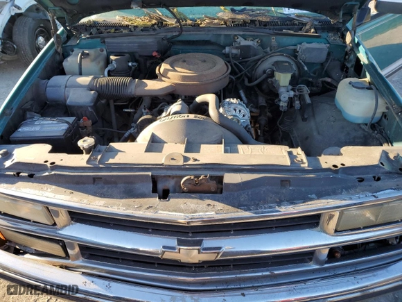 1994 Chevrolet C/K 1500 with VIN 1GCEK14K0RZ118348, listed as a Copart auction lot 74005664 with 126,120 mi miles and Salvage Title. Bid and sale history available at carsss.com. Image 12.