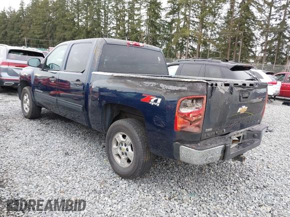 2009 Chevrolet Silverado 1500 LT with VIN 3GCEK23349G289295, listed as a IAAI auction lot 41752819 with 205,931 mi miles and . Bid and sale history available at DreamBid. Image 3.