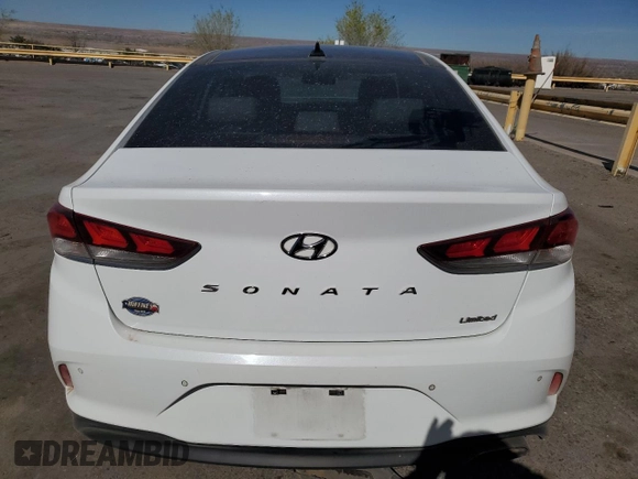 2019 Hyundai Sonata SEL with VIN 5NPE34AF5KH738048, listed as a Copart auction lot 49234445 with 62,075 mi miles and Salvage Title. Bid and sale history available at DreamBid. Image 6.