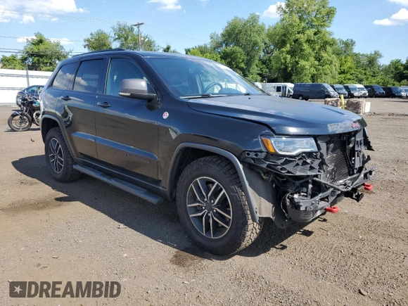 2019 Jeep Grand Cherokee Trailhawk with VIN 1C4RJFLT8KC726784, listed as a Copart auction lot 66010235 with 136,683 mi miles and Salvage title. Bid and sale history available at DreamBid. Image 4.