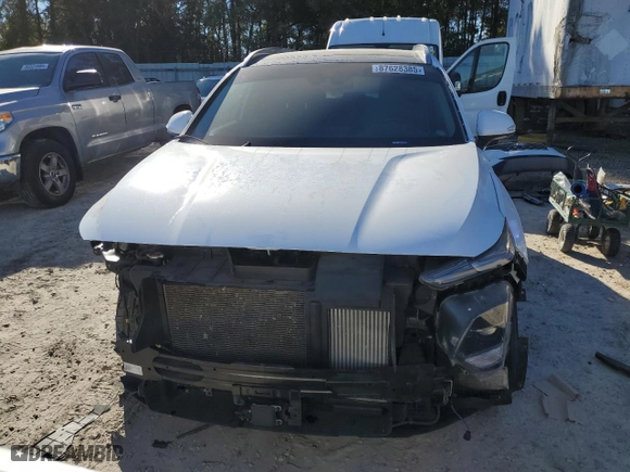 2019 Hyundai Santa Fe Limited with VIN 5NMS53AA1KH013247, listed as a Copart auction lot 87628385 with 66,022 mi miles and Salvage Title. Bid and sale history available at carsss.com. Image 5.