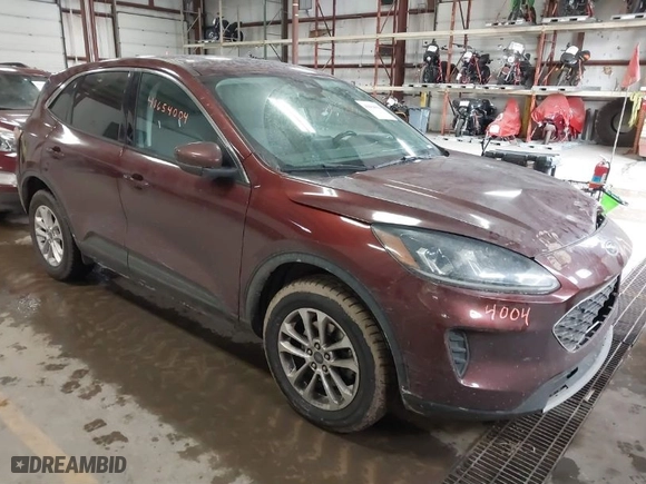 2021 Ford Escape SE with VIN 1FMCU9G63MUA98435, listed as a IAAI auction lot 41654004 with 53,911 mi miles. Bid and sale history available at carsss.com. Image 1.