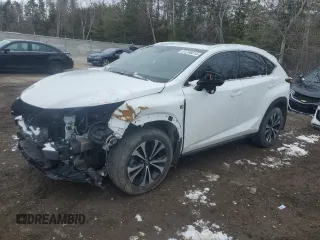 2019 Lexus NX with VIN JTJBARBZ5K2208451, listed as a Copart auction lot 51766015 with 79,805 mi miles and Clean Title. Bid and sale history available at carsss.com. Image 1.