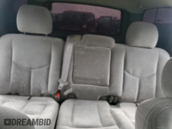 2004 Chevrolet Tahoe LS with VIN 1GNEC13Z24R310768, listed as a Copart auction lot 55886055 with 246,093 mi miles and Salvage title. Bid and sale history available at DreamBid. Image 10.