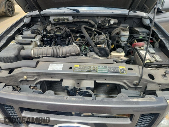 2011 Ford Ranger XLT with VIN 1FTLR4FE6BPA44768, listed as a Copart auction lot 60498335 with Not provided miles and Clean title. Bid and sale history available at DreamBid. Image 11.