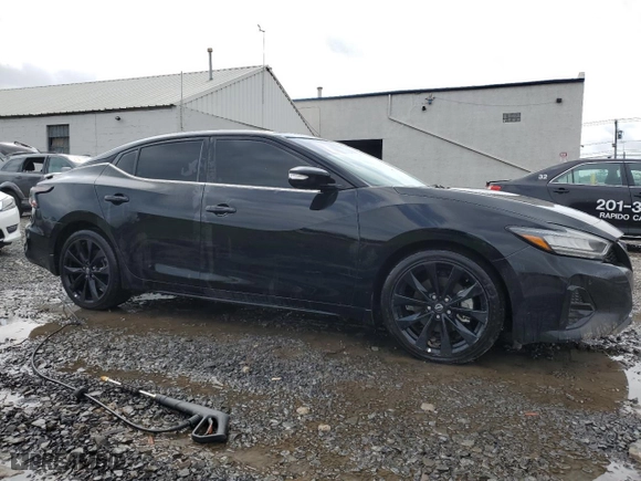 2023 Nissan Maxima SR with VIN 1N4AA6EV8PC506487, listed as a Copart auction lot 66585654 with 770 mi miles and Salvage Title. Bid and sale history available at carsss.com. Image 4.