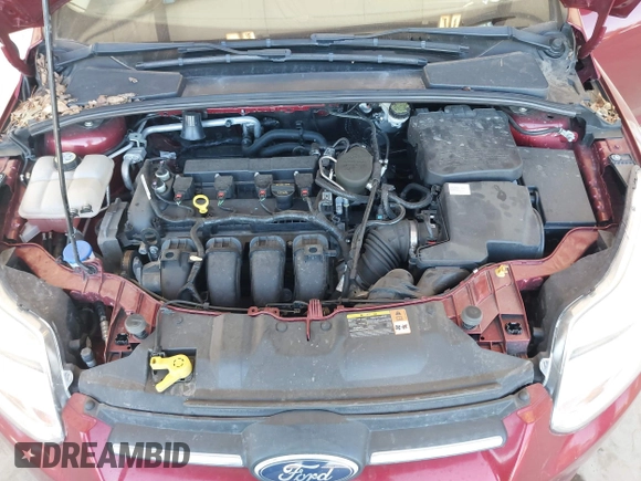 2013 Ford Focus SE with VIN 1FADP3K21DL347246, listed as a IAAI auction lot 42068664 with Not Provided miles and . Bid and sale history available at DreamBid. Image 10.