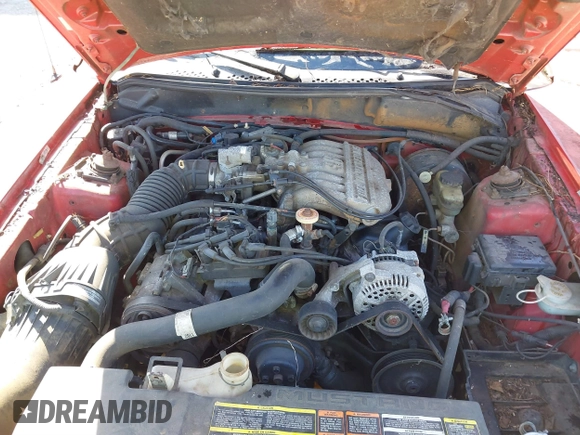1996 Ford Mustang with VIN 1FALP4044TF203127, listed as a IAAI auction lot 41887713 with 86,008 mi miles. Bid and sale history available at carsss.com. Image 10.