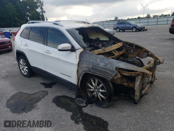 2015 Jeep Cherokee Limited with VIN 1C4PJLDS1FW584617, listed as a Copart auction lot 73677314 with Not Provided miles and Salvage Title. Bid and sale history available at DreamBid. Image 4.