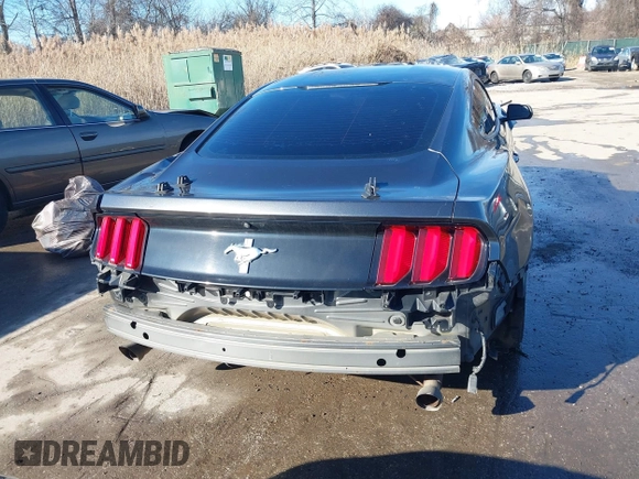 2017 Ford Mustang V6 z VIN 1FA6P8AM1H5224713, wystawiony jako IAAI lot #41208248 z przebiegiem 167 462 mil mil oraz . Historia ofert i sprzedaży dostępna na DreamBid. Obrazek 16.