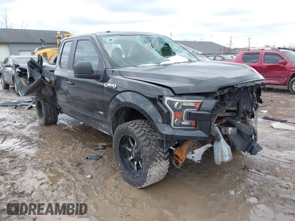 2015 Ford F-150 XLT с VIN 1FTEX1EPXFFC73448, выставлен на аукционе IAAI как лот 41455498 с пробегом 189 732 миль миль и . История ставок и продаж доступна на DreamBid. Изображение 1.