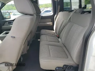 2010 Ford F-150 XL z VIN 1FTEX1E80AFB13709, wystawiony jako Copart lot #53610845 z przebiegiem 340 542 mil mil oraz Szkoda całkowita • Salvage title. Historia ofert i sprzedaży dostępna na DreamBid. Obrazek 11.