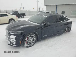 2024 Ford Mustang Mach-E GT with VIN 3FMTK4SX1RMA12446, listed as a Copart auction lot 42813865 with 2,491 mi miles and Salvage Title. Bid and sale history available at DreamBid. Image 1.