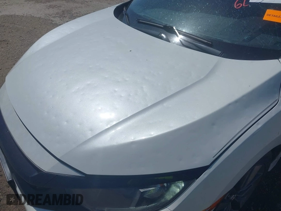 2019 Honda Civic Sedan EX with VIN 19XFC1F34KE008721, listed as a IAAI auction lot 41845651 with 80,991 mi miles. Bid and sale history available at carsss.com. Image 6.