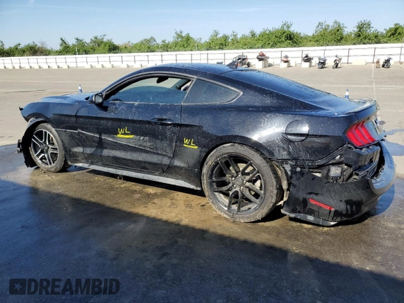 2023 Ford Mustang EcoBoost with VIN 1FA6P8TH8P5109752, listed as a Copart auction lot 56244835 with Not provided miles and Salvage title. Bid and sale history available at DreamBid. Image 2.
