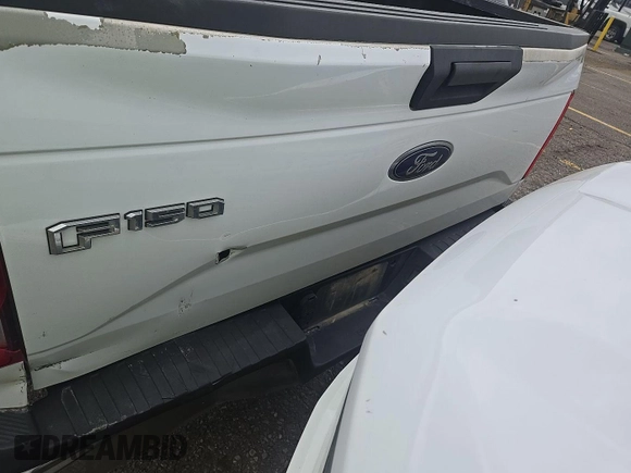2017 Ford F-150 XL with VIN 1FTEX1EP1HKC73011, listed as a IAAI auction lot 42788915 with 196,143 mi miles and . Bid and sale history available at DreamBid. Image 7.