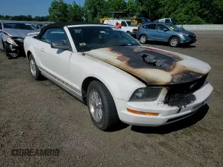 2005 Ford Mustang Deluxe with VIN 1ZVFT84N755194037, listed as a Copart auction lot 61485405 with Not provided miles and Salvage title. Bid and sale history available at DreamBid. Image 13.