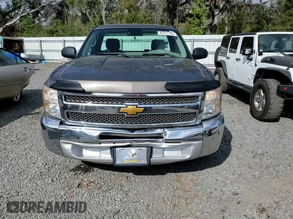 2013 Chevrolet Silverado 1500 Work Truck with VIN 1GCNCPEX5DZ258298, listed as a Copart auction lot 44751745 with 177,278 mi miles and Salvage Title. Bid and sale history available at DreamBid. Image 11.