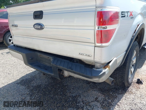 2013 Ford F-150 XL with VIN 1FTFX1EF5DKG43334, listed as a IAAI auction lot 42664129 with 215,465 mi miles and . Bid and sale history available at DreamBid. Image 6.