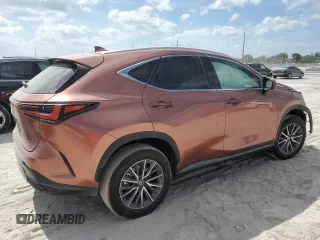2025 Lexus NX 350 Premium with VIN 2T2GGCEZ6SC076703, listed as a Copart auction lot 54664795 with 4,188 mi miles and Salvage title. Bid and sale history available at DreamBid. Image 3.