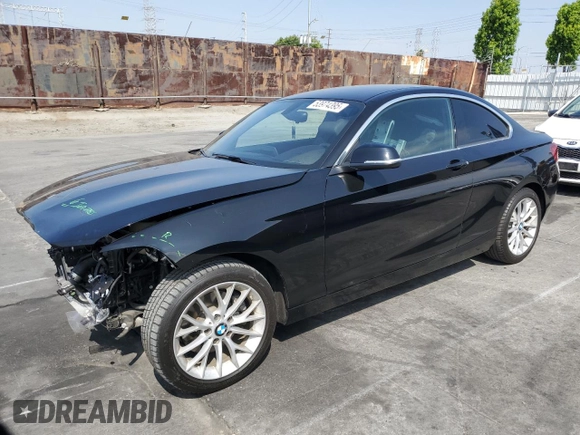 2016 BMW 2 Series 228i with VIN WBA1F9C56GV544978, listed as a Copart auction lot 53974395 with 49,508 mi miles and Salvage title. Bid and sale history available at DreamBid. Image 1.