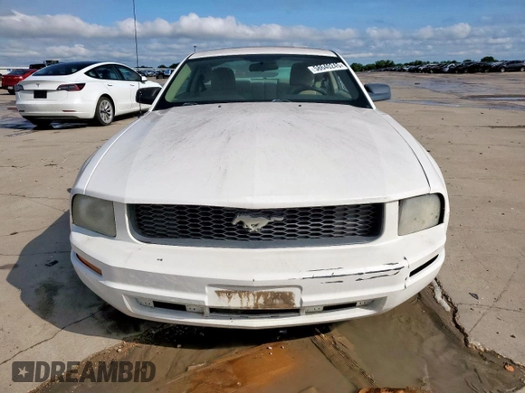 2009 Ford Mustang with VIN 1ZVHT80N695139910, listed as a Copart auction lot 58640245 with 174,769 mi miles and Clean title. Bid and sale history available at DreamBid. Image 5.