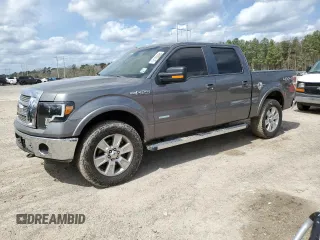2012 Ford F-150 XL with VIN 1FTFW1ET5CFA94735, listed as a Copart auction lot 48000145 with 333,592 mi miles and Salvage Title. Bid and sale history available at carsss.com. Image 1.