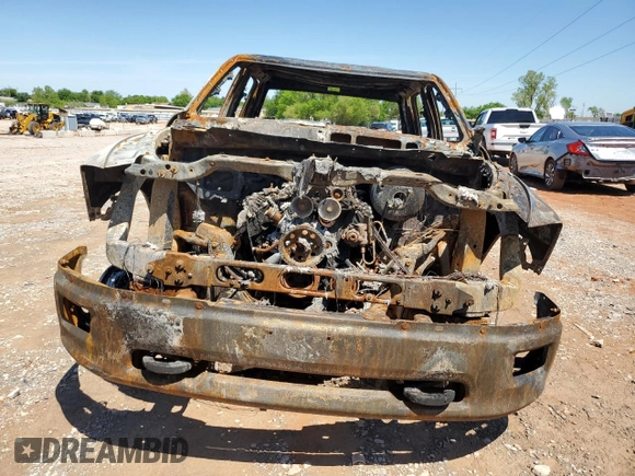 2010 Dodge 1500 Sport with VIN 1D7RV1CT3AS123890, listed as a Copart auction lot 50738225 with Not Provided miles and Non Repairable. Bid and sale history available at carsss.com. Image 5.