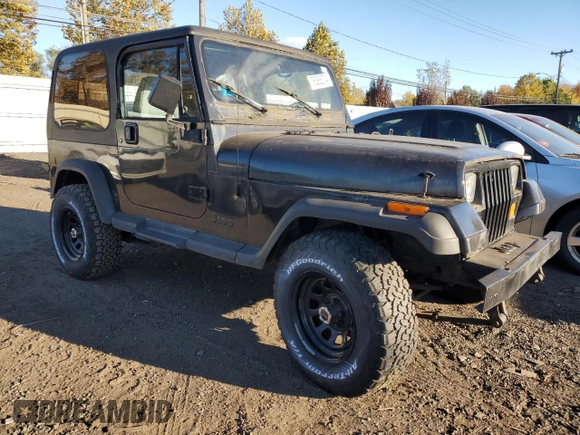 1993 Jeep Wrangler with VIN 1J4FY29S1PP235666, listed as a Copart auction lot 76386274 with 0 mi miles and Non Repairable. Bid and sale history available at carsss.com. Image 4.