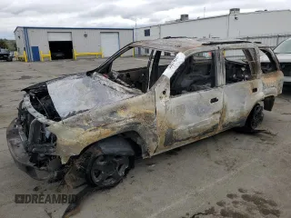 2004 Chevrolet TrailBlazer LT with VIN 1GNDS13S642252321, listed as a Copart auction lot 53674575 with Not Provided miles and Non Repairable. Bid and sale history available at DreamBid. Image 1.