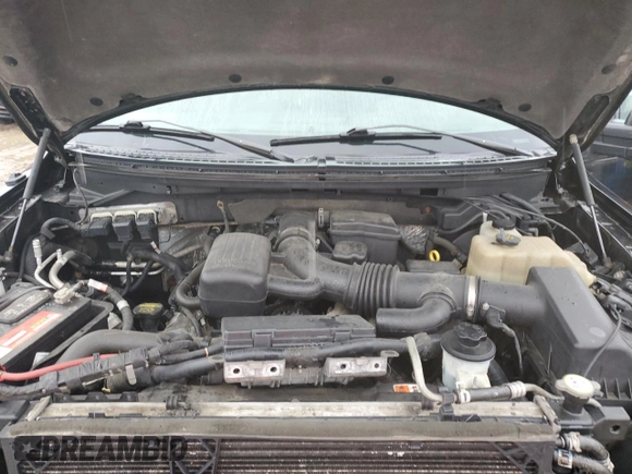 2010 Ford F-150 XL with VIN 1FTFX1EV8AFA56329, listed as a Copart auction lot 47362025 with 149,478 mi miles and Salvage Title. Bid and sale history available at DreamBid. Image 12.