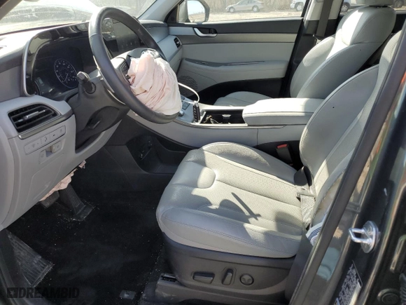 2020 Hyundai Palisade SEL with VIN KM8R4DHE8LU062211, listed as a Copart auction lot 49694245 with 55,160 mi miles and Salvage Title. Bid and sale history available at carsss.com. Image 7.