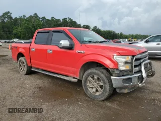 2015 Ford F-150 XLT z VIN 1FTEW1EF0FKE13265, wystawiony jako Copart lot #61180215 z przebiegiem 256 164 mil mil oraz Szkoda całkowita • Salvage title. Historia ofert i sprzedaży dostępna na DreamBid. Obrazek 4.