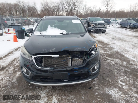 2016 Kia Sorento EX with VIN 5XYPH4A1XGG023621, listed as a IAAI auction lot 41583266 with 123,039 mi miles. Bid and sale history available at carsss.com. Image 12.