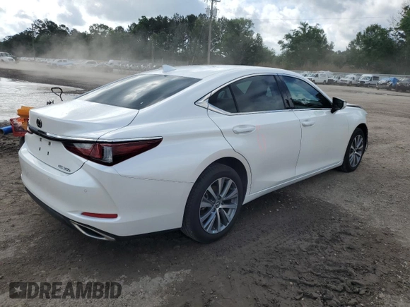 2019 Lexus ES 350 with VIN 58ABZ1B17KU043387, listed as a Copart auction lot 54322675 with 54,473 mi miles and Salvage Title. Bid and sale history available at DreamBid. Image 3.