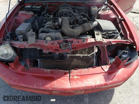 2008 Ford Mustang Deluxe with VIN 1ZVHT80N485171107, listed as a Copart auction lot 53973615 with 182,863 mi miles and Salvage Title. Bid and sale history available at DreamBid. Image 11.