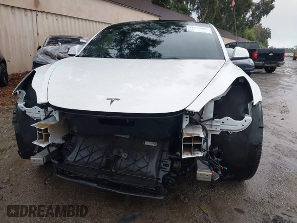2023 Tesla Model 3 with VIN 5YJ3E1EA3PF401446, listed as a IAAI auction lot 41565881 with Not Provided miles and . Bid and sale history available at carsss.com. Image 6.