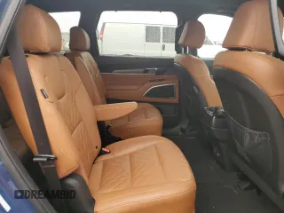 2023 Kia Telluride EX X-Line with VIN 5XYP3DGC7PG404463, listed as a Copart auction lot 49808315 with 24,306 mi miles and Salvage title. Bid and sale history available at DreamBid. Image 11.