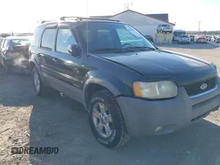 2001 Ford Escape XLT with VIN 1FMCU04161KC38571, listed as a IAAI auction lot 41881685 with 175,432 mi miles and . Bid and sale history available at DreamBid. Image 6.