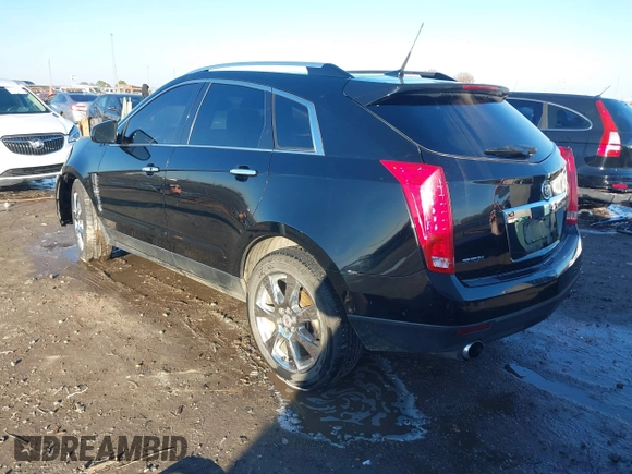 2010 Cadillac SRX Premium Collection with VIN 3GYFNCEY9AS521993, listed as a IAAI auction lot 41154875 with 219,713 mi miles. Bid and sale history available at carsss.com. Image 3.