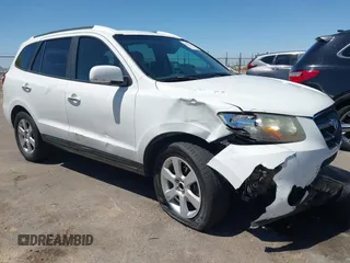 2007 Hyundai Santa Fe SE z VIN 5NMSH13E07H096155, wystawiony jako IAAI lot #42052456 z przebiegiem 262 130 mil mil oraz . Historia ofert i sprzedaży dostępna na DreamBid. Obrazek 1.