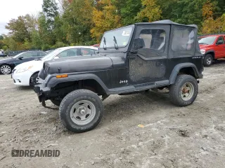 1994 Jeep Wrangler S with VIN 1J4FY19P6RP453045, listed as a Copart auction lot 73837484 with 165,406 mi miles and Clean Title. Bid and sale history available at carsss.com. Image 1.