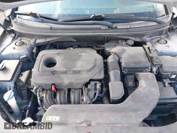 2017 Hyundai Sonata SE with VIN 5NPE24AF5HH572898, listed as a IAAI auction lot 42039023 with 50,494 mi miles and . Bid and sale history available at DreamBid. Image 10.