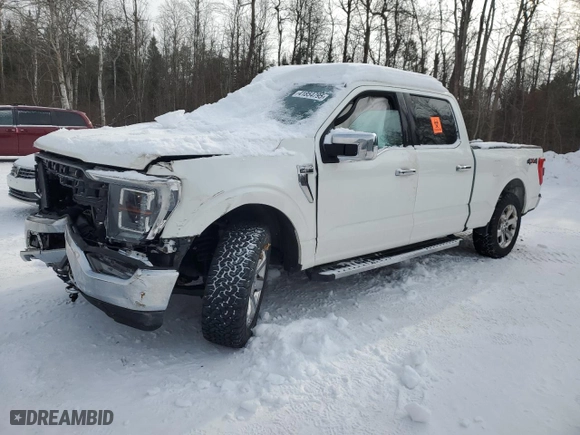 2021 Ford F-150 XL with VIN 1FTFW1E53MKD36674, listed as a Copart auction lot 41854795 with 0 mi miles and Salvage Title. Bid and sale history available at carsss.com. Image 1.