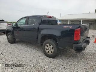 2017 Chevrolet Colorado 4WD WT with VIN 1GCGTBEN0H1314825, listed as a Copart auction lot 54017085 with 171,989 mi miles and Salvage title. Bid and sale history available at DreamBid. Image 2.