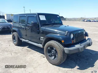 2010 Jeep Wrangler Unlimited Sahara with VIN 1J4HA5H17AL140941, listed as a IAAI auction lot 42004203 with 126,100 mi miles. Bid and sale history available at carsss.com. Image 6.