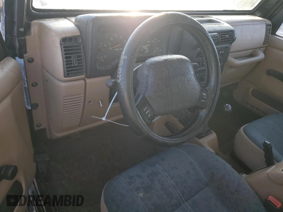 2002 Jeep Wrangler Sahara with VIN 1J4FA59S82P740585, listed as a Copart auction lot 46266265 with 145,129 mi miles and Salvage Title. Bid and sale history available at carsss.com. Image 8.