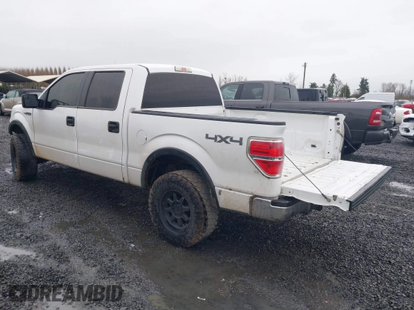 2014 Ford F-150 XL with VIN 1FTFW1EF1EFB50926, listed as a IAAI auction lot 41721129 with 154,174 mi miles. Bid and sale history available at carsss.com. Image 3.