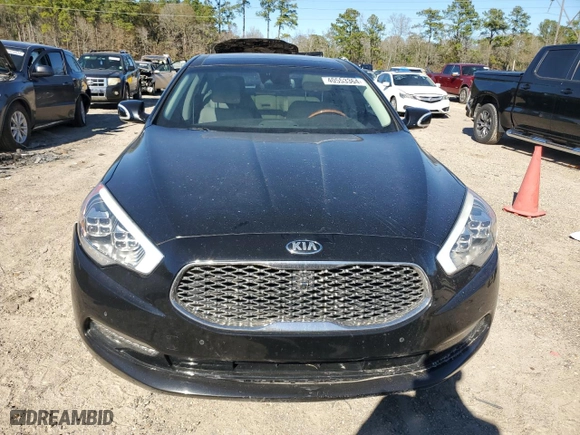 2016 Kia K900 Luxury with VIN KNALW4D46G6032018, listed as a Copart auction lot 40553364 with NaN miles and Salvage Title. Bid and sale history available at carsss.com. Image 5.