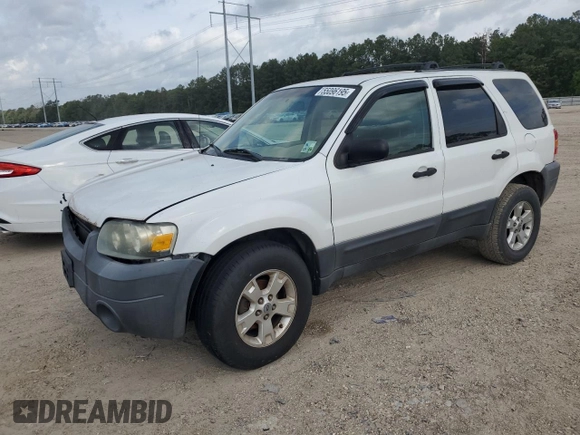 2006 Ford Escape XLT with VIN 1FMYU03146KC34615, listed as a Copart auction lot 55096195 with 144,398 mi miles and Salvage Title. Bid and sale history available at DreamBid. Image 1.